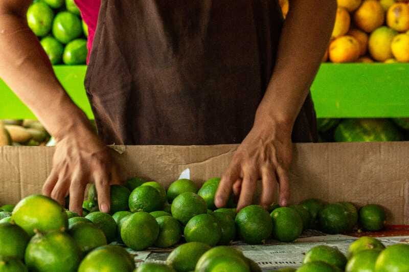Playa del Carmen: Vegan Food Walking Tour - Ceviche and tacos: sea and street classics you can actually replicate