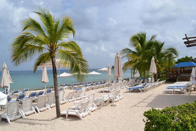 Playa Uvas Open Bar Exclusive Pass - Key things that make Playa Uvas different