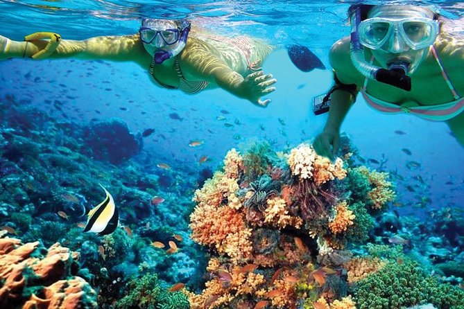 Plus Experience Isla Mujeres Tour - Onboard Open Bar and Snorkeling Gear: The Two Big Comfort Wins