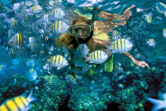 Plus Full Day Catamaran Tour to Isla Mujeres All Inclusive - Drinks, Lunch, and Snorkel Gear: What All Inclusive Really Means Here