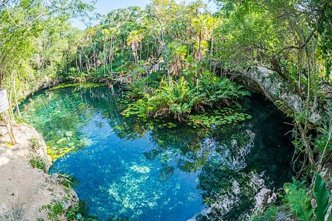Private 2-Cenote Snorkeling Tour with Authentic Mayan Lunch - Lunch at the Parque Dos Ojos area, with a local Mayan meal
