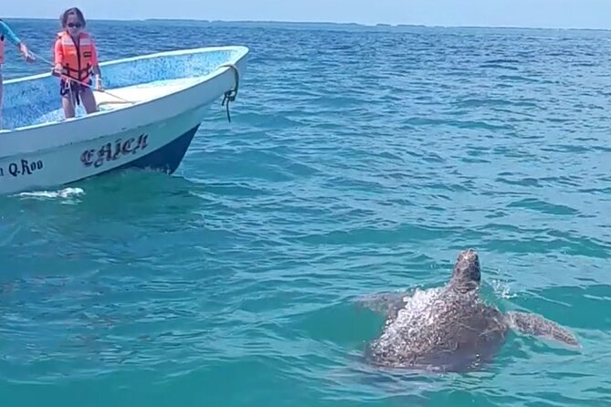 Private Akumal & Cenotes tour - Lunch and drinks: a simple included break that keeps the day easy