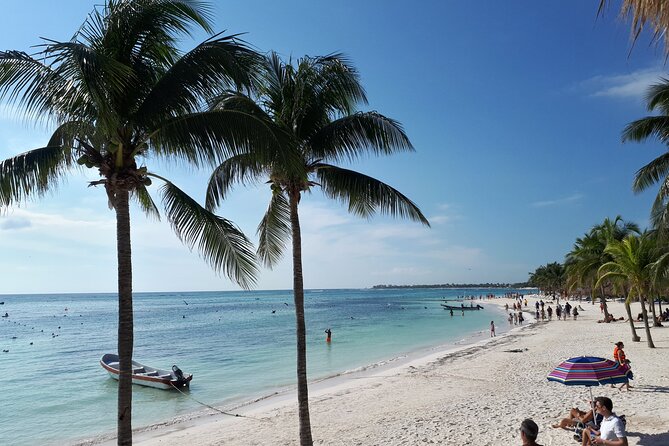 Private Akumal & Cenotes tour - Who this tour fits best, and who might want a different plan