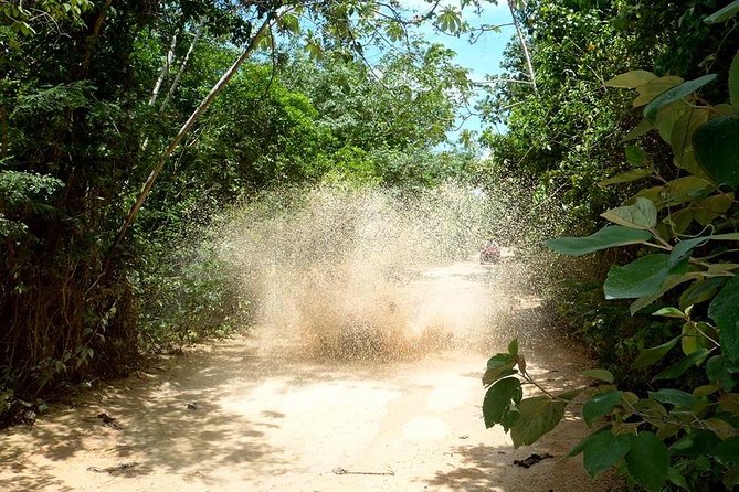 Private ATV Jungle Explorer Tour - The 2-Hour Jungle Explorer Ride: Dirt Roads, Local Green, and Real Motion