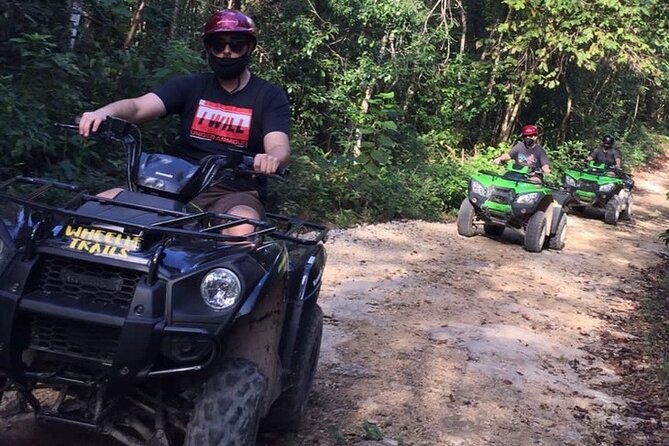 Private ATV Jungle Explorer Tour - Who This Tour Fits Best in Your Playa del Carmen Schedule