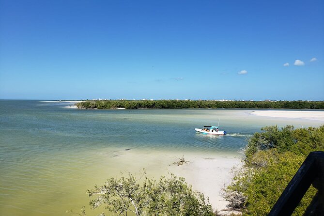 Private boat tour (3 islands tour) - Punta Mosquito Sandbanks, Clear Water, and a Final Swim Window