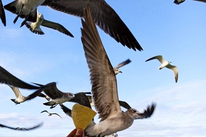 Private boat tour (3 islands tour) - Should You Book This Private 3-Island Tour?