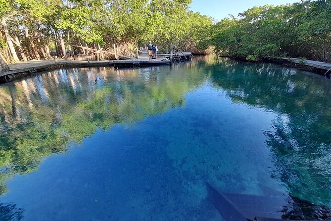 Private boat tour (3 islands tour) - Isla De La Pasion Beach, Birds, and Possible Flamingos