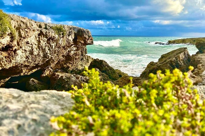 Private Buggy & ATV Tour to Jade Cavern Cenote: All-Inclusive - Punta Sur Eco Beach Park, Lighthouse Views and Wildlife Time