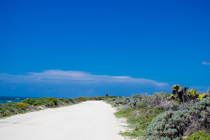 Private Buggy Tour and Punta Sur Park: All-Inclusive - El Mirador rock formations, cave, and blowholes (short but fun)