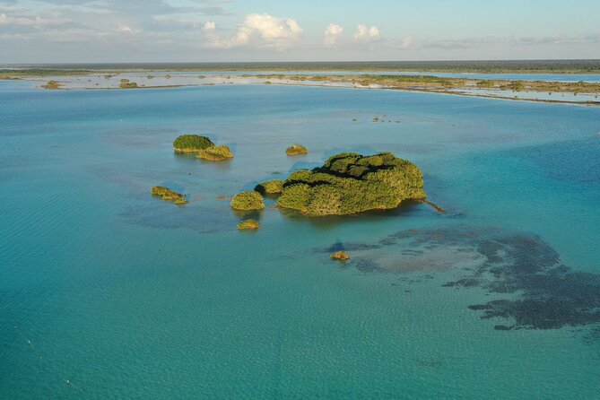 Private Catamaran Tour - Food, drinks, and the comfort that keeps a private tour relaxing
