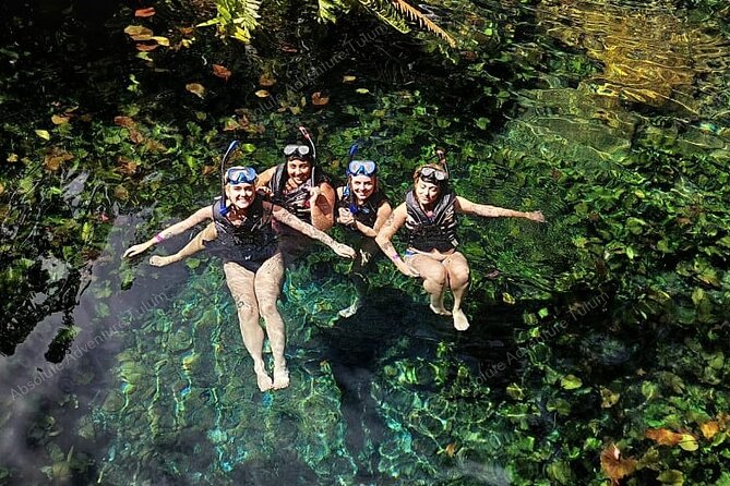 Private Cenote Snorkeling Tour – Tulum’s Hidden Gems - How the Private Setup Changes Your Whole Day