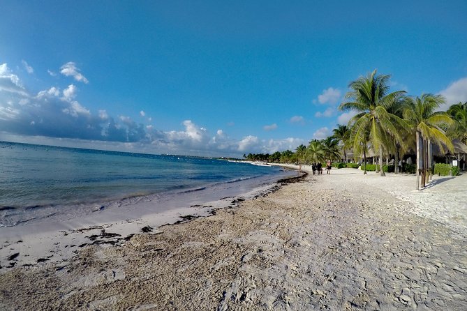 Private Cenote & Snorkeling Tour with Turtles in Akumal - Why This Private Cenote + Turtle Combo Feels Right for 5 Hours