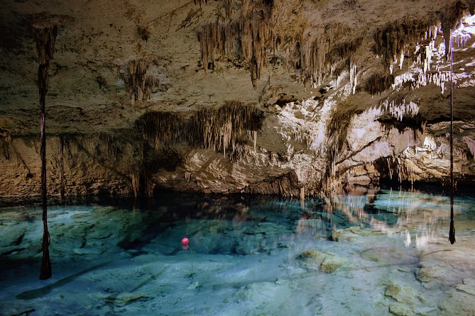 Private Cenote & Snorkeling Tour with Turtles in Akumal - Lunch and Local Flavor: Included, but Quality Can Vary