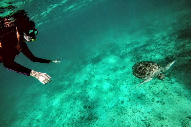 Private Cenote & Snorkeling Tour with Turtles in Akumal - Taak Bi Ha Cenote: One Hour in a Limestone Cavern