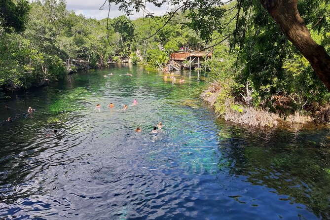 Private Cenotes tour - Cost and value: $242 per person plus tolls to plan for