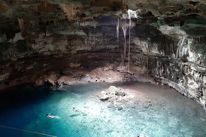 Private Cenotes tour - Casa Cenote: open-air swimming, mangroves, and fish watching