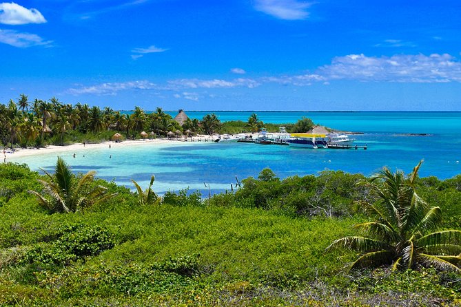 Private Escape: Isla Contoy & Isla Mujeres with Snorkeling - Starting in Playa del Carmen, then heading for the calm