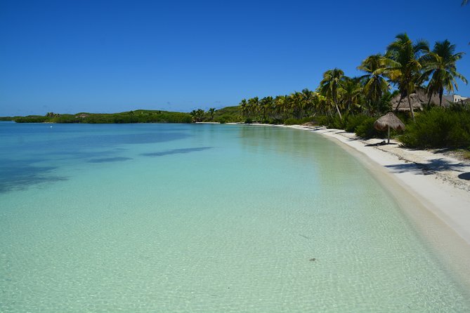 Private Escape: Isla Contoy & Isla Mujeres with Snorkeling - Punta Sam and the guided reef snorkel at the Mesoamerican Reef