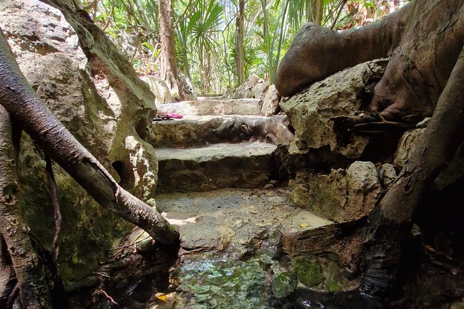 Private experience 5 cenotes at Riviera Maya - Snorkeling gear, life jackets, and what the aquatic hand lamp is for