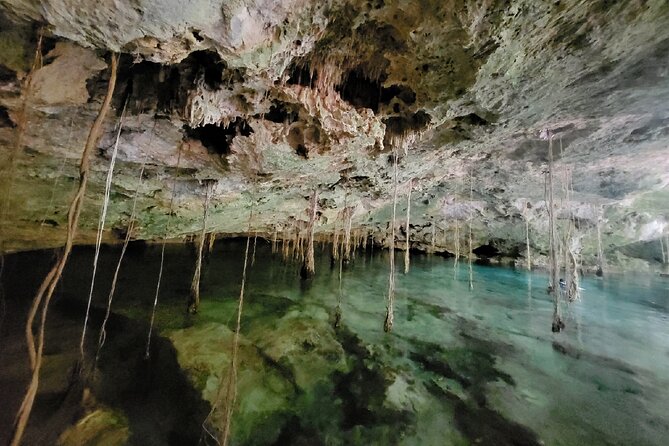 Private experience 5 cenotes at Riviera Maya - Lunch back in Playa del Carmen: local food, not a generic stop