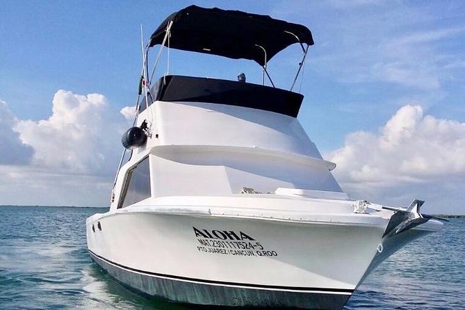 Private fishing charter Bertram 31ft 6 pax max if you don't fish you don't pay - Fishing in Cancun’s Caribbean waters: what you might catch