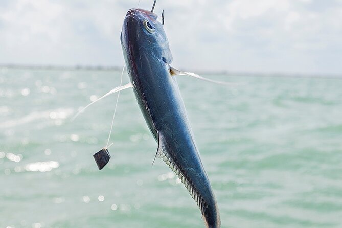 Private Fishing Tour from Isla Holbox (up to 6 pax) - Where you meet, and how to start without stress