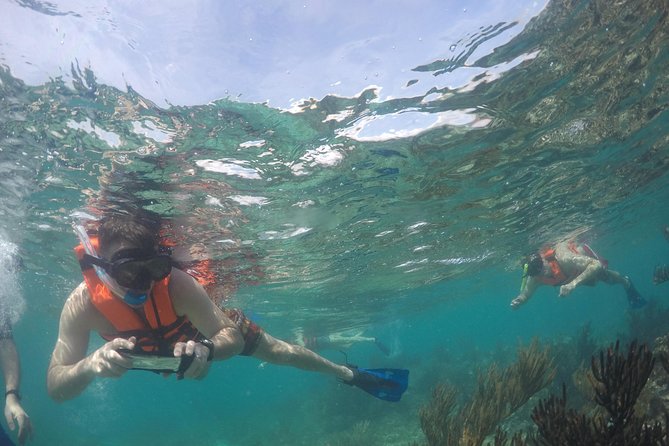 Private Fishing Tour in Yacht Playa del Carmen - Stop 1: Puerto Aventuras Marina and How Your Morning Usually Plays Out
