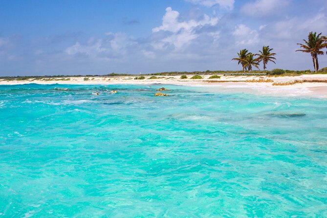 Private Jeep and 4x4 Polaris RZR Tour with Mexican Lunch - Sabores de Cozumel Park, chocolate and tequila without the fluff