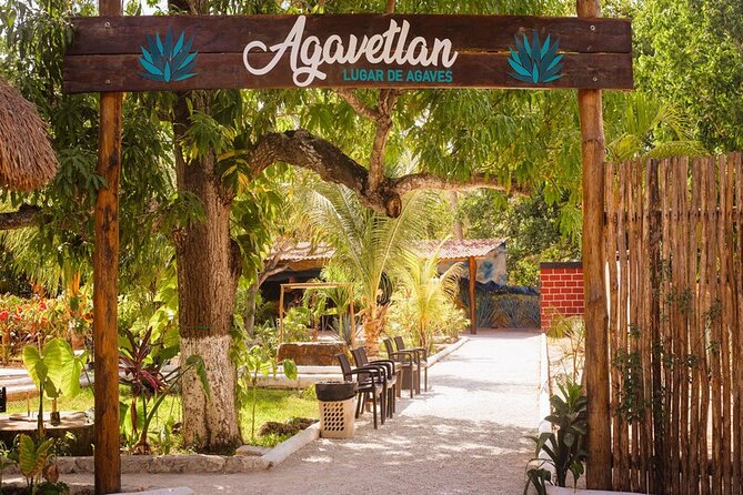 Private Jeep and 4x4 Polaris RZR Tour with Mexican Lunch - Should you book this Jeep and Polaris RZR tour in Cozumel?