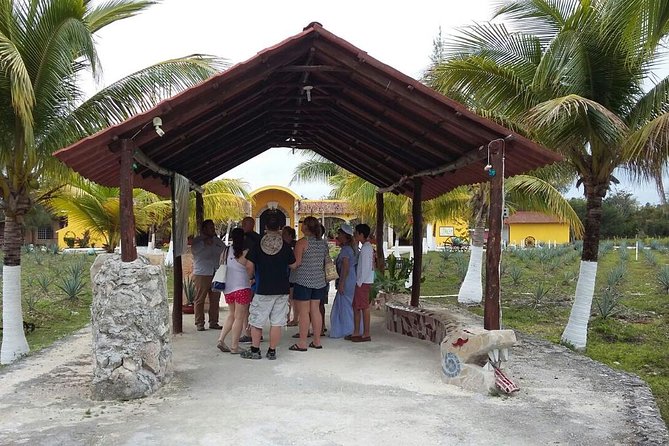 Private Jeep Excursion in Cozumel with Lunch and Snorkeling - Lunch, bottled water, and keeping the food budget sane