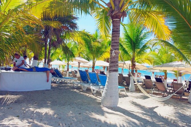 Private Jeep or Buggy Tour Snorkeling Maya Park and Tacos - San Martin beach and lunch on the other side of the island