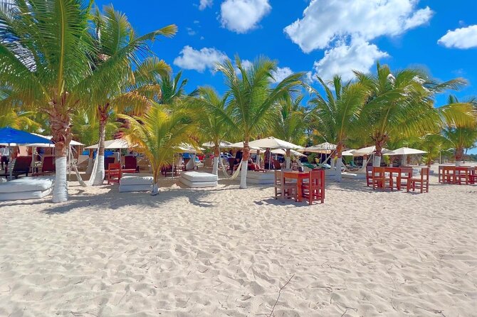 Private Jeep or Buggy Tour Snorkeling Maya Park and Tacos - Private Jeep or buggy transportation, and why it helps your timing