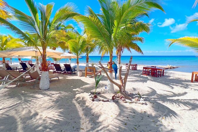 Private Jeep or Buggy Tour Snorkeling Maya Park and Tacos - What you get included, and how that changes the math