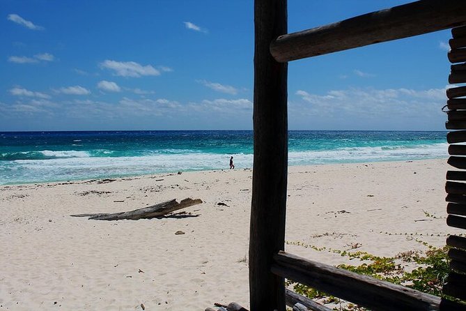 Private Jeep Tour in Cozumel - Stop 2: Punta Sur Eco Beach Park, crocodiles, 132 steps, and the lighthouse view