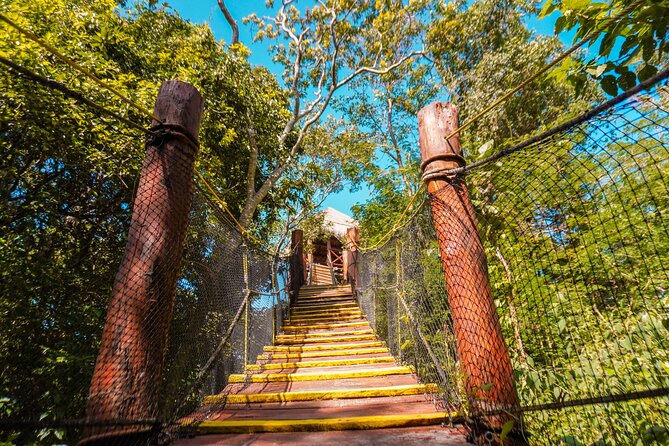 Private Jungle Adventure tour: Zipline + Rappel + Cenote - Why This Zipline Plus Cenote Mix Works So Well