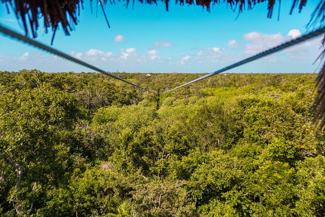 Private Jungle Adventure tour: Zipline + Rappel + Cenote - Rappel Into the Cenote: Where the Adventure Turns to Wonder