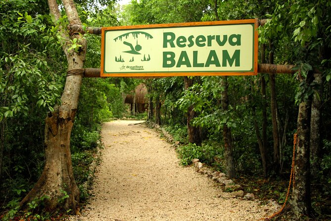 Private Jungle Adventure tour: Zipline + Rappel + Cenote - Price and Value: Why $295 Can Make Sense