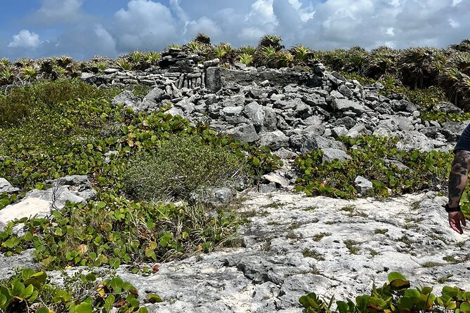 Private Mayan Ruins Tour with Cenote/caves and Mexican Picnic - Stop 2: Tequila at Rancho Alejandra, samples and a farm walk