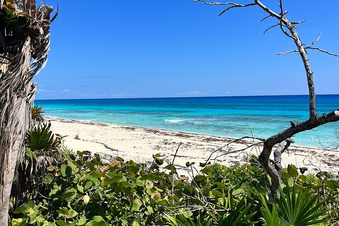 Private Mayan Ruins Tour with Cenote/caves and Mexican Picnic - Stop 4: Cozumel jungle roads and El Cedral, a smaller-scale Mayan stop