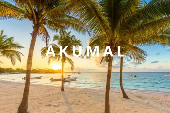 Private one-way airport transfer from Cancun - Akumal. - Quick Hits: What Makes This Transfer Work