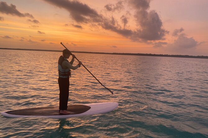 Private Paddleboard Experience in Bacalar - The route: Bird Island, Black Cenote, then Emerald Cenote
