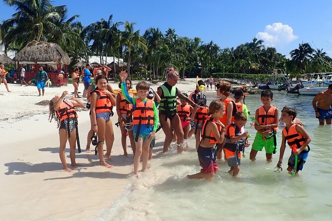 Private Responsible Experience with Turtles (groups of 3 plus) - What happens before the snorkel: turtle talk that actually helps