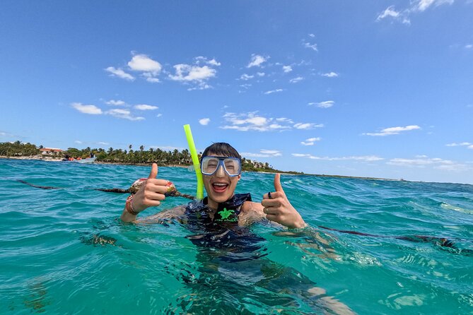 "Private snorkeling with turtles in Akumal + Photos included" - Weather, timing, and how to plan your day
