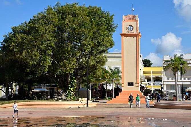 Private Tour: 5-Hour Cozumel Sightseeing with Private Driver and Tequila Tasting - Stop 3: Tequila Tasting at Mi Mexico Lindo, Agave, History, and Bee-Based Drinks