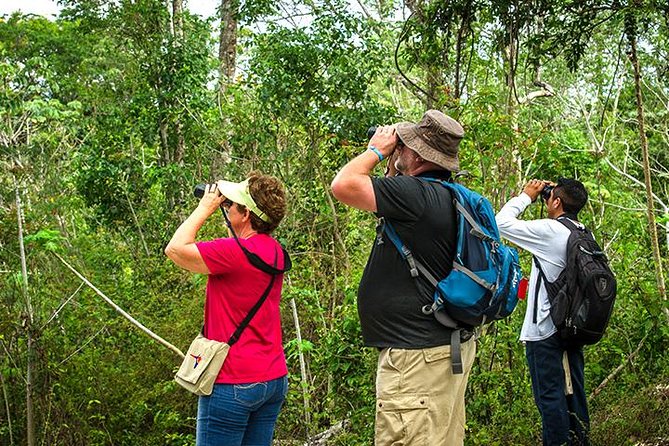 Private Tour: Birdwatching from Cancun - Why a 5am start matters for birding near Cancun