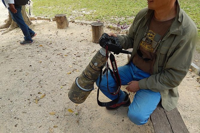 Private Tour: Birdwatching from Cancun - The Puerto Morelos stop: where you wait, listen, and spot the first targets
