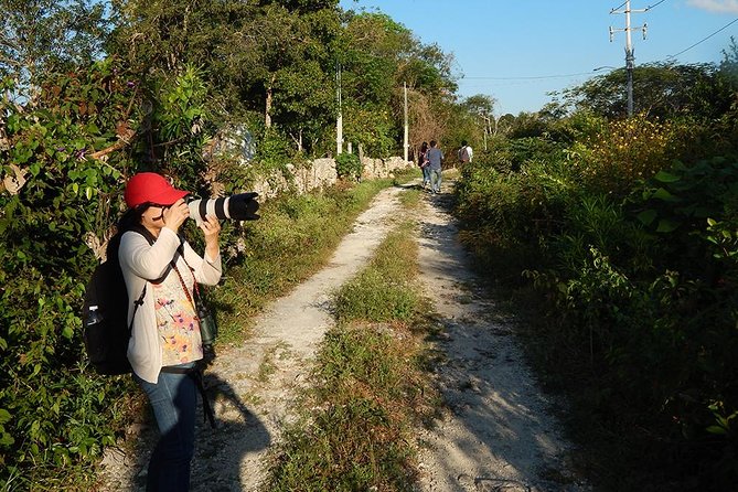 Private Tour: Birdwatching from Cancun - Price and value: paying $525 for a private morning with bird expertise