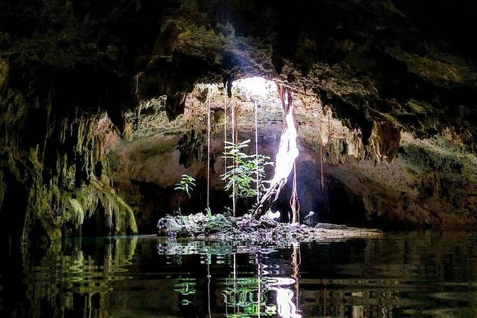 Private Tour Cenotes Sac Actun The Longest Underground River - Cenote Xunaan-Ha: the second ecosystem for peace and easy swimming