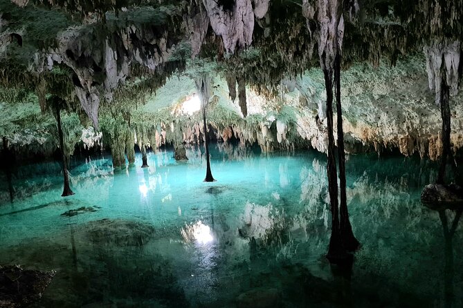 Private Tour Cenotes Sac Actun The Longest Underground River - Price and what $203.12 buys you in real life